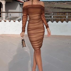Brown Mesh Bodycon Dress